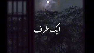 Stetus video