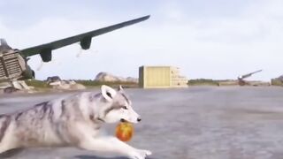 This is clever wolf and video mr.victor???????????????? please subscribe and like please ????❤️????????