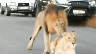 Ye lo honeymoon ka vlog????????????