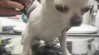 Prensesin bakım zamanı…
