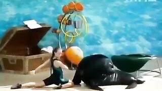Девушка танцует с морским львом????