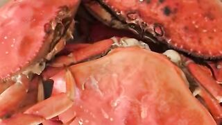 Crab Roast