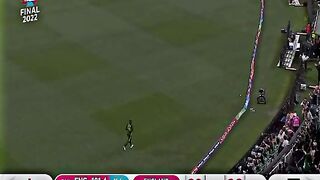 Cricket