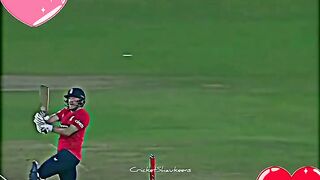 Cricket