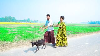 new funny video 2023 super hits comedy video 2023 must watch By Fun Tv 24