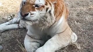 Cute animals ????????????