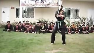 Three Section NunChaqus (Bredan Fou Martial Arts)