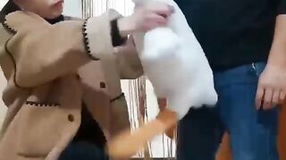 Couple Pranking.