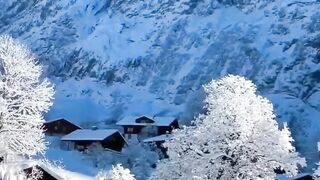 Beautiful view of nature 142
