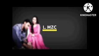 Humsafar ost