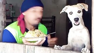 Meus vizinhos