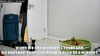 I Changed the Lives of 5 Orphaned Kittens Who Lost Their Mother. Part 9