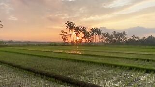 nature view 3