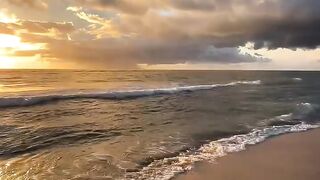 nature view 4