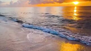 nature view 5
