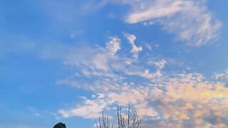 sunset view