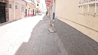 Ignored by everyone, this stray cat came to us for help!