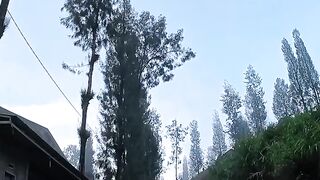 nice view 10