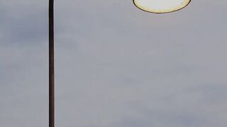 Music 448