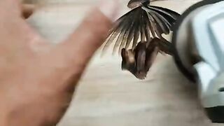 Pyrography