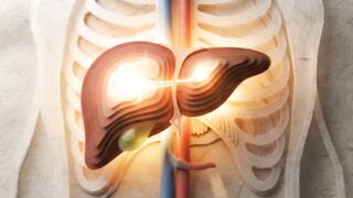 The Liver's Top Gear Diets