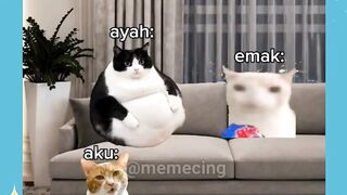 template emak seindonesia inimah