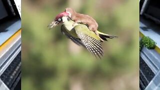 What are some rare pictures of nature that we have never seen? 😱 #shorts #reels #viral #trending #minecraft