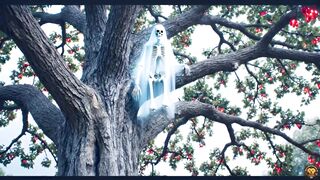 This Skeleton's Life Is a Movie 💀😂 | Funny Cinematic Animation Short