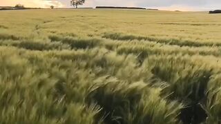 Peaceful Aesthetic Countryside | Relaxing Village Life & Beautiful Nature 4K
