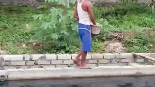 BINGUNG ingin belajar mijahkan lele tapi gada cacing sutera❗️Ini solusinya