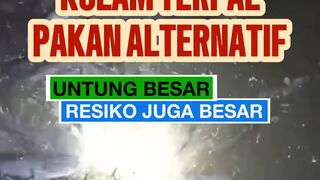 Jangan jumawa kalian lagi HOKI atau sedang beruntung
