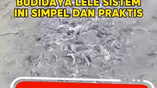 Simpel dan praktis tapi syaratnya cukup berat