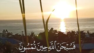 Tilawat e Quran Majeed | must watch 2