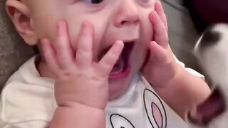Baby vs Dramatic Husky Puppy_ 👶
