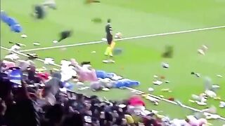 Fans_Throwing_Random_Things(720p).mp4