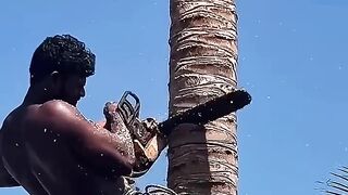 human_cuting_tree_and_tree_relationship_with_human_short_video_😥😞___#shorts(720p).mp4
