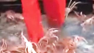 The Billion-Dollar Crab Hunt! The Harsh Reality Of The Bering Sea