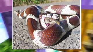 Do you have any images that capture the terror and awe of nature?😲 #reels #viral #trending #minecraft
