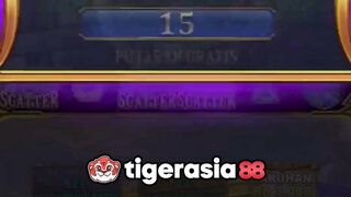 Kakek Olympus emang slalu di hati  - Tigerasia88