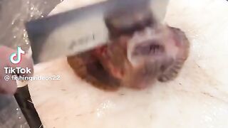 How to cook stone fish