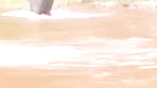 3 Days Ago, Man's Saved An Elephant, But Later The Elephant Returned The Debt Of Life!
