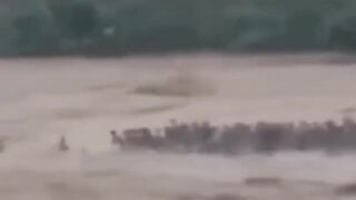 Ngeri! Topan Hantam China, 900 Ular Kobra Lepas ke Permukiman