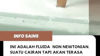 cairan padat