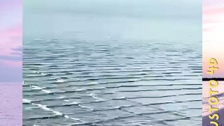Mengapa Gelombang Laut Persegi Bisa berbahaya? #faktaunik #shorts #fyp #reels
