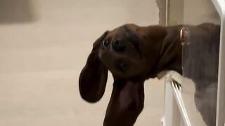 Funny reaction 9