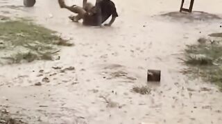 হারানো দিনের অসাধারণ গান