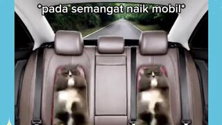 belum naik aja udah mual🤢
