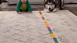 Dog Falls Asleep During the Race! 😂 Kid Wins! #Shorts