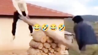 Two Men on a Seesaw End Up Together! 🤣