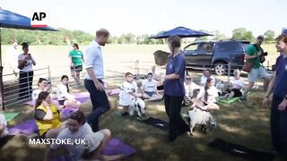 Prince Harry does goat yoga at a summer festival in the UK